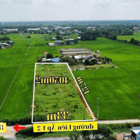 Chủ Gửi 4050M2 Có 2400M2 Thổ + 1650M2 Lúa Thích Hợp Làm Biệt Thự Vườn, Kho, Xưởng, Shr, Giá Tốt