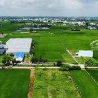 Chủ Gửi 4050M2 Có 2400M2 Thổ + 1650M2 Lúa Thích Hợp Làm Biệt Thự Vườn, Kho, Xưởng, Shr, Giá Tốt