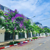 Mở Bán Quỹ Căn Nv5 - Bt6 Hud Mê Linh Giá Chủ Đầu Tư,Diện Tíchtừ 118-300M2, Thanh Toán Siêu Giãn T8/2024