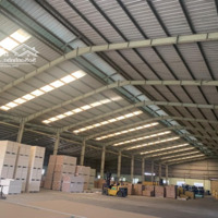 Cho Thuê Kho Xưởng 2.600M2 Bình Chánh. Pccc Nghiệm Thu, Đường Xe Cont 40F 24/24