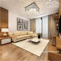 MT VIP Nguyễn Hữu Cảnh, P22, Bình Thạnh: 8mx30m, CN: 236m2. Giá bán: 65 tỷ TL.