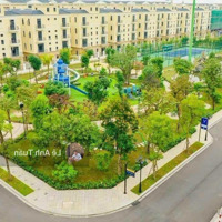 Quỹ Liền Kề Biệt Thự Vị Trí Đẹp, Giá Tốt Vinhomes Ocean Park 2 Phân Khu Cọ Xanh, Đảo Dừa, San Hô