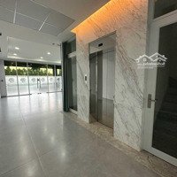 Cho Thuê Shophouse Sala Từ 85M2 Đến 1000M2, Giá Tốt Nhất Thị Trường