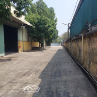 Cho Thuê 500M2 Kho Xưởng Mới Dựng, Cao 7M An Thượng, Hoài Đức, Hà Nội, Giá 40 Nghìn/M2/Th