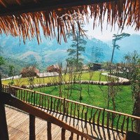 Bán 1,1Ha Đất Tặng Căn Homestay Mới Xây Dựng Tại Lạc Dương, Cách Ql 27C 3Km