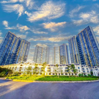 Cập Nhật Quỹ Căn Cho Thuê Chung Cư Sunshine City Ciputra Tháng 8/2024 | Hàng Đẹp Giá Tốt- Đa Dạng