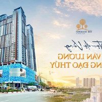 Căn Góc, Căn Hoa Hậu - Quỹ Căn Trực Tiếp Cđt, Diện Tích 120 - 202 M2 Tháng 08/2024