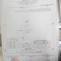 Chính Chủ Cần Bán Đất Xã Tân Phước, Thị Xã Lagi, Tỉnh Bình Thuận,Diện Tích9846 M2