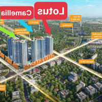 Cho Thuê Căn Hộ Hoang Huy Commerce - Gần Aeonmall, Khách Sạn Nikko, Minato Từ 7 Triệu / Tháng