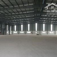 Bán Xưởng Trong Kcn Bàu Bàng - Bình Dương. Bán Đất 20.000M2 Xưởng 11.000M2