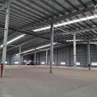 Cho thuê xưởng 20000m2 Tỉnh Tây Ninh