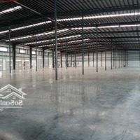 Cho Thuê Kho Xưởng 39.000M2 Trong Khu Công Nghiệp Đức Hoà Long An