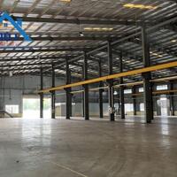 Bán nhà xưởng 7.000m2 giá chỉ 52,5 tỷ KCN Long Bình-Biên Hòa-Đồng Nai