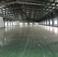 Cho Thuê Kho Xưởng 11.500M2 Tại Tân Uyên, Bình Dương