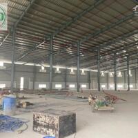 Cho thuê nhà xưởng từ 936 m2 đến 11.624 m2 tại Tân Hiệp, Tân uyên , BD.