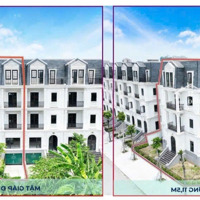 250 Triệu/M2 - Căn Shophouse Mặt Tiền 30M