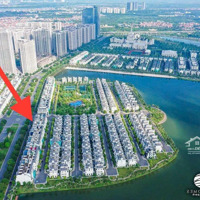 Chính Chủ Cần Bán Căn Shophouse Ngọc Trai 6 Mặt Đường 52M Vinhomes Ocean Park - Gia Lâm - Hà Nội