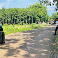 Bán Đất Sào Giá Tốt.thuận Phú,Bình Phước.