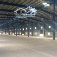 Cho Thuê Nhà Xưởng 3500M2 - 5000M2 Trong Kcn Bàu Bàng, Bình Dương.