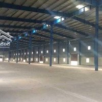 Cho Thuê Nhà Xưởng 3500M2 - 5000M2 Trong Kcn Bàu Bàng, Bình Dương.