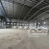 Cho Thuê Xưởng 6000M2 Trong Khu Công Nghiệp Bàu Bàng, Bình Dương