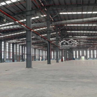 Cho Thuê Xưởng 11.000M2 Trong Khu Công Nghiệp Bàu Bàng, Bình Dương.