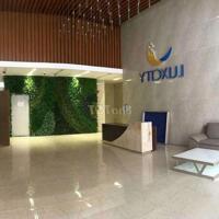 Cho thuê CHCC LuxCity quận 7, 68m2, 2 phòng ngủ, 2 tollet, full NT