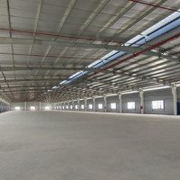 Cho Thuê Nhà Xưởng 7650M2 Ngoài Khu Công Nghiệp Bàu Bàng, Bình Dương.