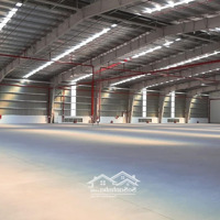 Cho Thuê Nhà Xưởng Mới 4800M2 Trong Kcn Long Thành, Đồng Nai