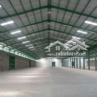 Cho Thuê Kho Xưởng 10.000M2 Trong Kcn Nhơn Trạch, Đồng Nai