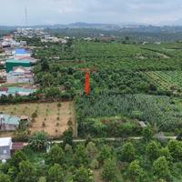 Chính Chủ Bán Nhanh Lô Đất Cách Ql 28 50M, Giá Bán 360 Tr, Xây Dựng Nhà View Nghỉ Dưỡng