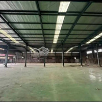 Cho Thuê Kho Xưởng 3.000M2 Bình Chánh, Pccc Nghiệm Thu, Đường Xe Cont 40F.