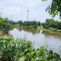 Bán Gấp 94M2 Đất Liên Ninh - Thanh Trì, Ô Tô Tránh, Vỉa Hè, View Sông Thoáng Vĩnh Viễn