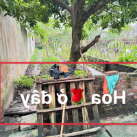 Bán 90.6M2 Full Thổ Cư Tại Võng La, Đông Anh