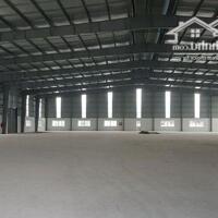 Cho Thuê Xưởng 8000M2 Tại Bến Cát, Bình Dương