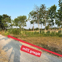 139M2 (Gần Full Thổ Cư), Xã Phước Hiệp, Shr, Giá Bán 595 Triệu (Cam Kết Giá Thật)