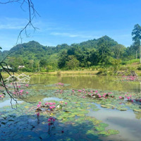 Bán Lô Đất Bám Hồ - Tay Chạm Nước Phú Vinh Tân Lạc Hòa Bình, 2138M2