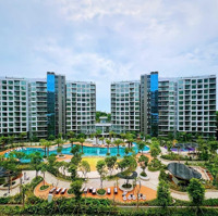 Nhận Nhà Ngay Chỉ Với 900 Triệu Celadon City, Mua Trực Tiếp Cđt, Thanh Toán Giãn 24 Tháng