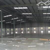 Cho thuê xưởng 8000m2 KCN Nhơn Trạch 2, Huyện Nhơn Trạch, Đồng Nai