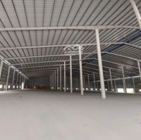 Cho Thuê Kho 3000M2, Sân 2000M2 Trung Tâm Bmt Đầy Đủ Pccc Không Cấm Tải