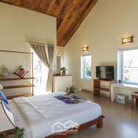 Villa Hội An, View Ruộng Lúa Siêu Đỉnh. Tỷ Suất Lợi Nhuận 7,5% - 9%/Năm