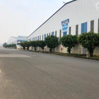 Cho thuê kho xưởng 5000m2 giá chỉ 425 triệu KCN Biên Hòa-Đồng Nai