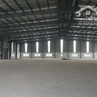 Cho Thuê Xưởng 5000M2 Trong Kcn Amata, Biên Hòa, Đồng Nai