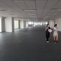 Bql Chính Chủ Cho Thuê Văn Phòng Cục Tần Số 115 Trần Duy Hưng Diện Tích 100M2, 200M2, 500M2 1000M2