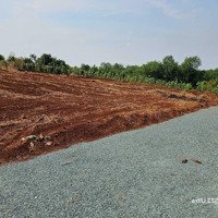 Đất Ngộp Ngay Trung Tâm Chính Chủ 1000M2 Giá Chỉ 390 Triệu Sang Tên Công Chứng Ngay