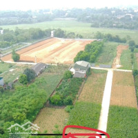 Bán Đất Nền Hoà Thạch Cách Ql 21 Chỉ 1Km (Thuộc Hà Nội)