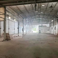 Cho Thuê Kho Xưởng Bình Chánh, 1000M2, 320Kva, Văn Phòng, Cont Vào Đêm, Giá 35 Triệu