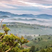 Chỉ 685 Triệu Có Ngay Nền Đất View Sông 1000M Có 100M Thổ Cư Ven Đà Lạt