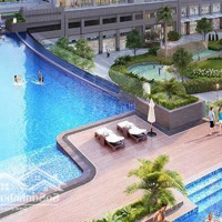 Cập Nhật Chuyên Nhượng Căn Hộ Victoria Village Tháng 8.2024 Mr Phi 0981.331.145 Hân Hạnh