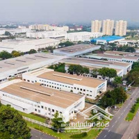 Bán Mảnh Đất 1100M2 An Điền - Bến Cát. 460 Triệu. Đất Trống, Gần Kcn Việt Hương 2, Cách Đt748 Chỉ 1Km.